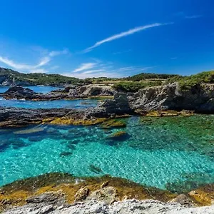  Appartement Vacances Idéales Limite Sanary Sur Mer !! Logement Partagé Shared